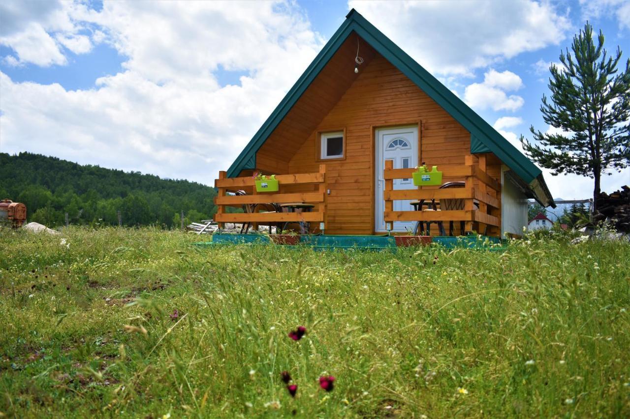Tatil Evi Pajo *